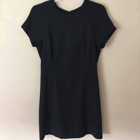 Banana Republic Dresses & Skirts - Banana Republic Plus SZ 16T Black Shift Dress